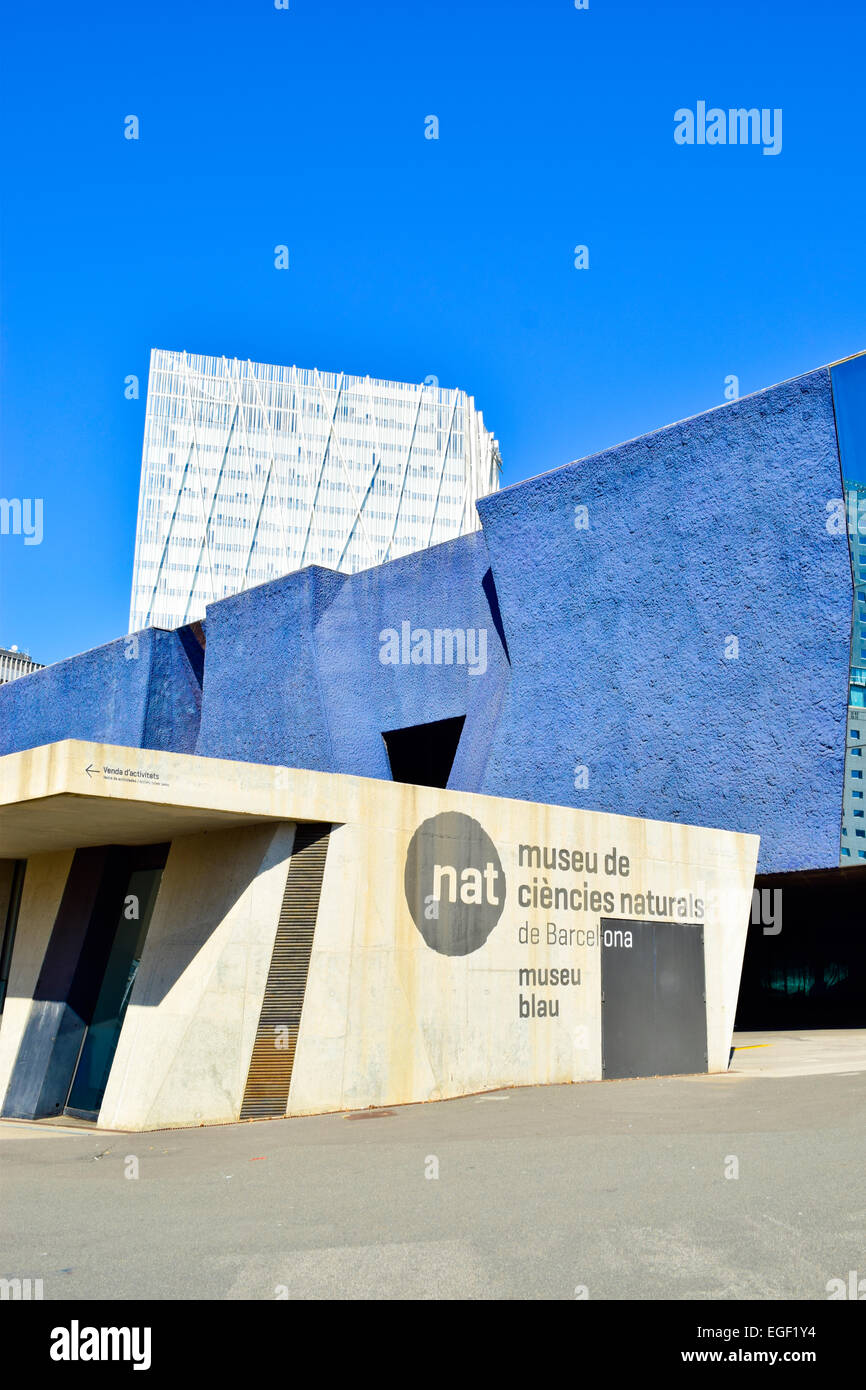 Il Museu Blau e Telefonica edificio. Barcellona, in Catalogna, Spagna. Foto Stock