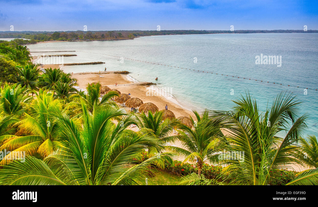 Sedie a sdraio sotto la paglia umbellas sulla sabbia bianca di una spiaggia caraibica front resort. Foto Stock