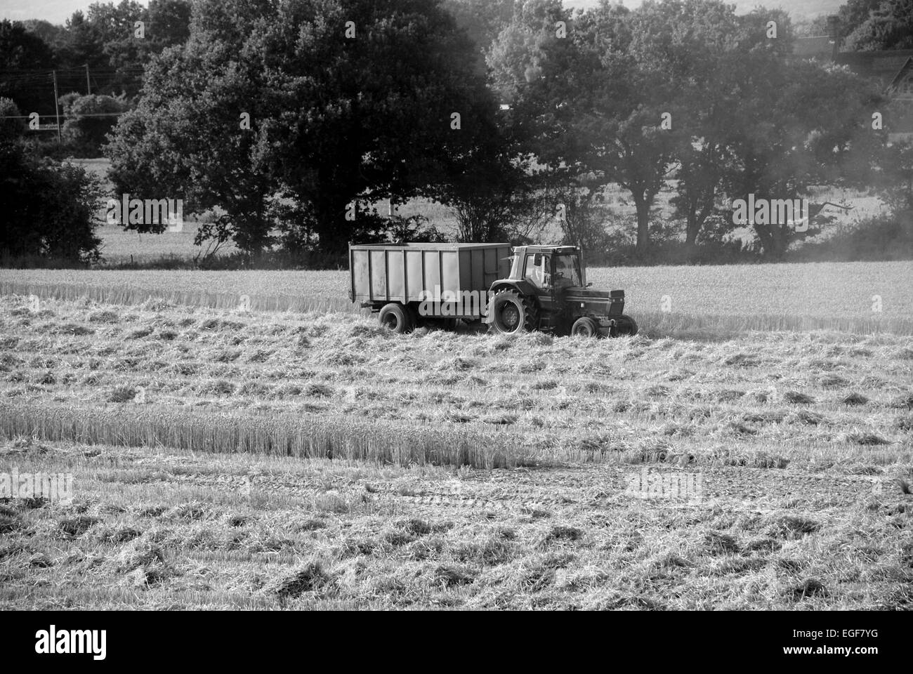 Trattore, traino di un rimorchio in un campo di raccolta - elaborazione monocromatica Foto Stock