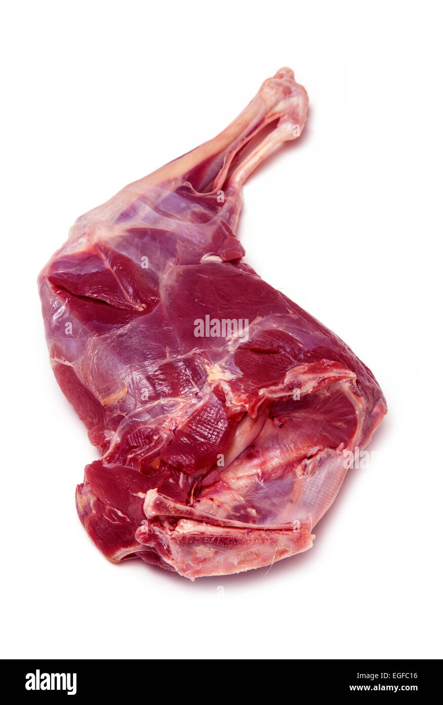 Haunch o gamba o materie di capriolo isolato su un bianco di sfondo per studio. Foto Stock
