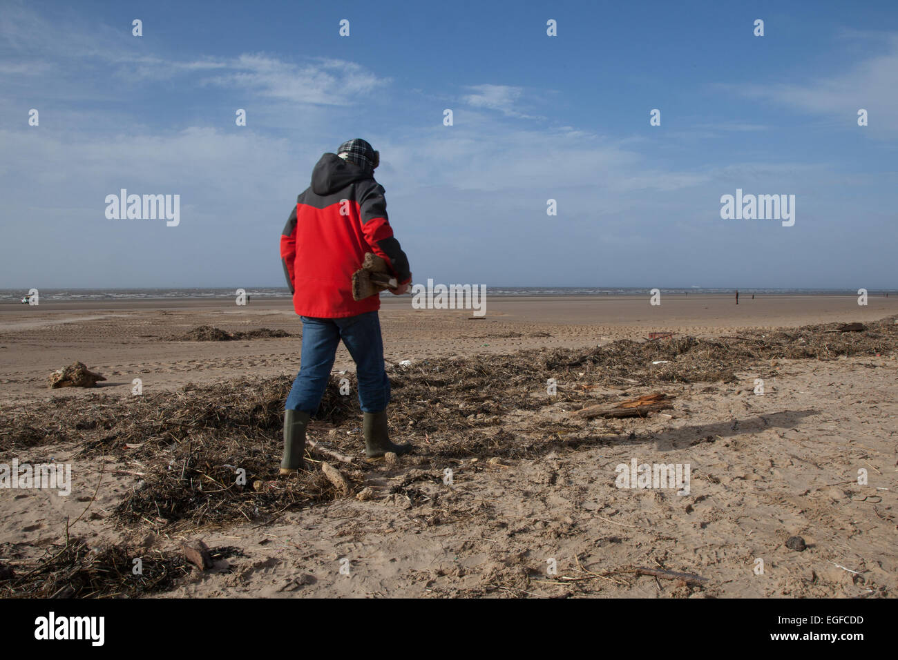 Titolare di pensione o di rendita la raccolta driftwood depositato sul foreshore, all'high water mark, dopo una notte di tempesta di vento di forza nel mare irlandese a sinistra la spiaggia coperta in driftwood, le lettiere e detriti Foto Stock