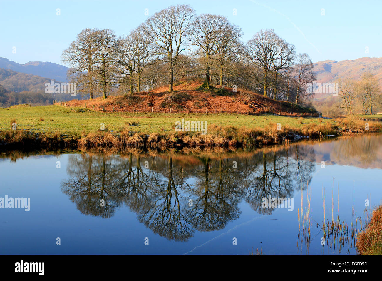 La riflessione degli alberi e della campagna in un lago nel Lake District inglese Foto Stock