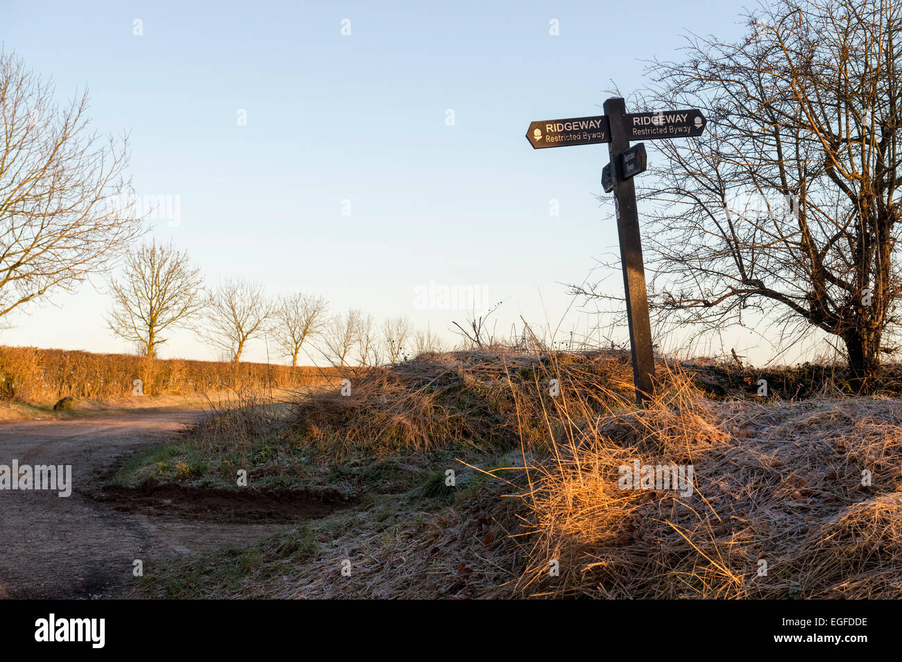 Mattina inverno la luce del sole su un Ridgeway signpost. Oxfordshire, Inghilterra Foto Stock