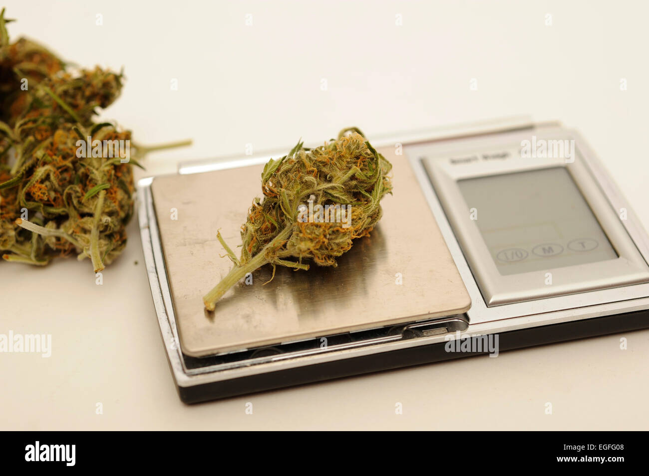 Medicinali Marijuana pesato sulla bilancia Foto Stock