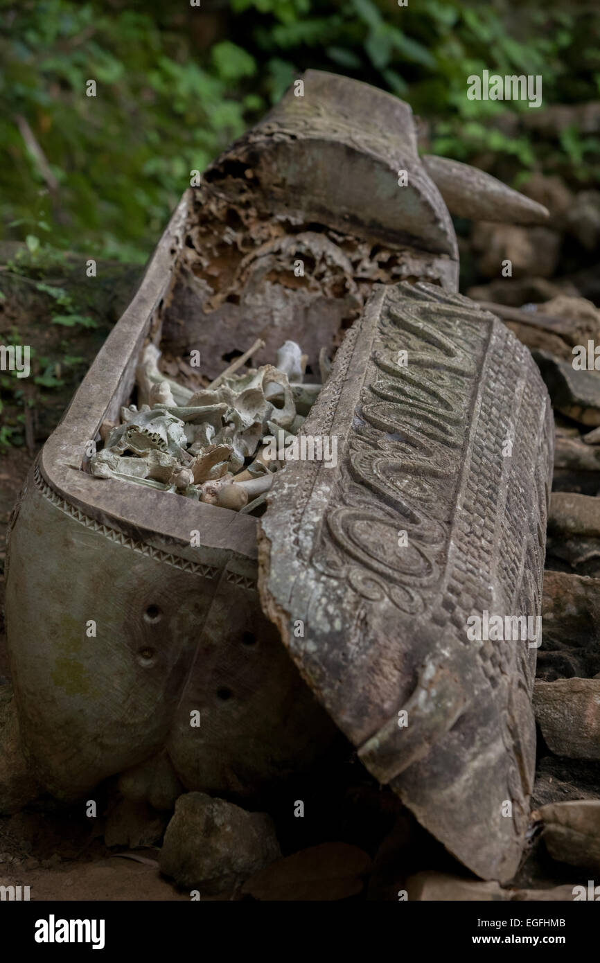 Sarcofago di legno in un tradizionale luogo di sepoltura nel villaggio di Kete Kesu, Toraja Nord, Sulawesi Sud, Indonesia. Foto Stock
