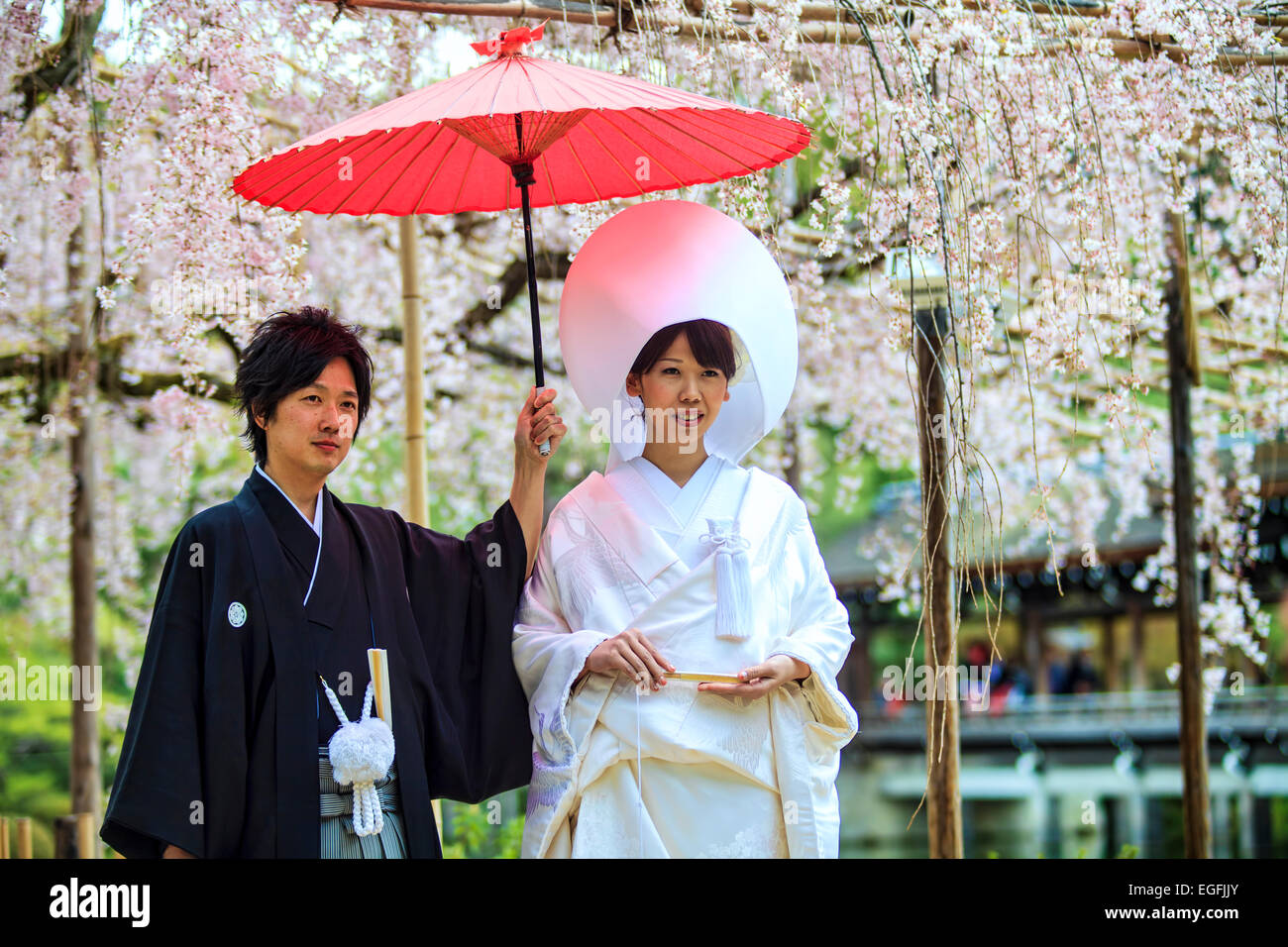 KYOTO, Giappone-aprile 12: Celebrazione di un tipico matrimonio in Giappone su Aprile 12,2013 a Kyoto, Giappone Foto Stock