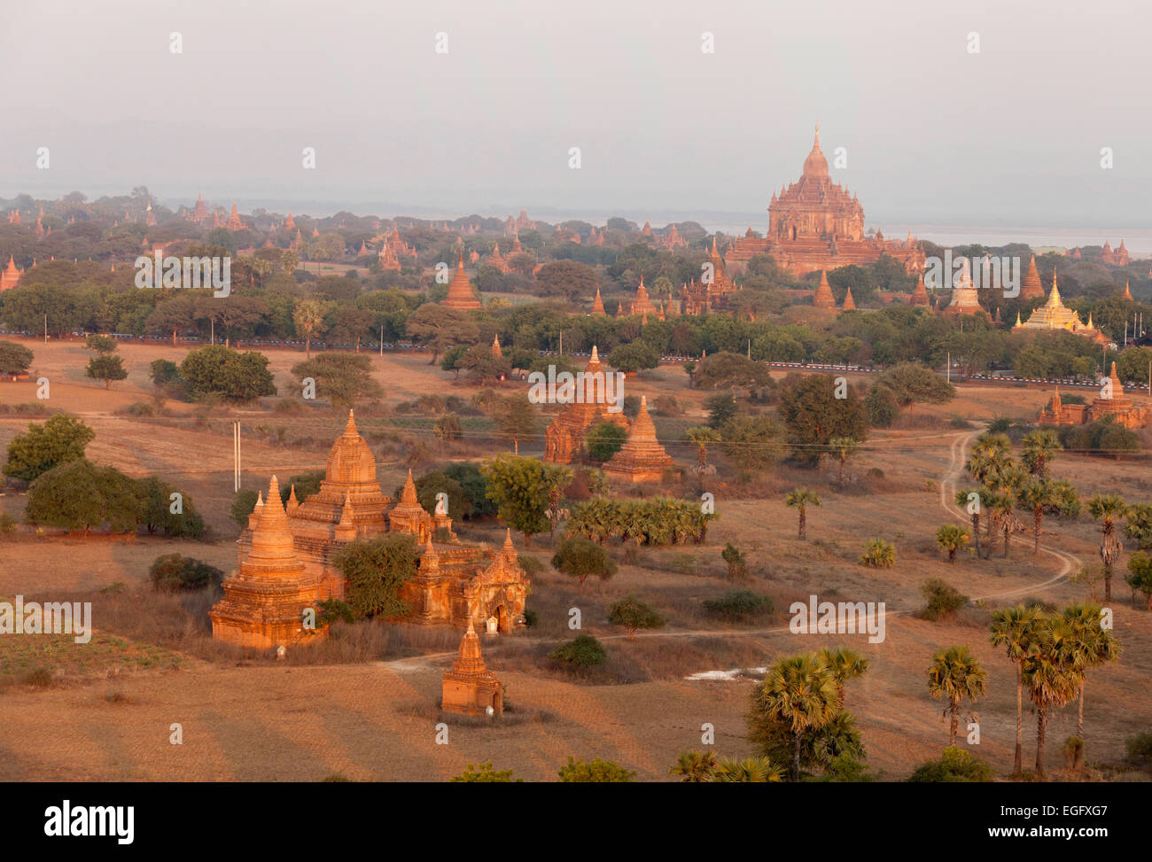 Vista di templi e pagode su Bagan pianura visto dal di sopra, Bagan, Myanmar ( Birmania ), SAsia Foto Stock