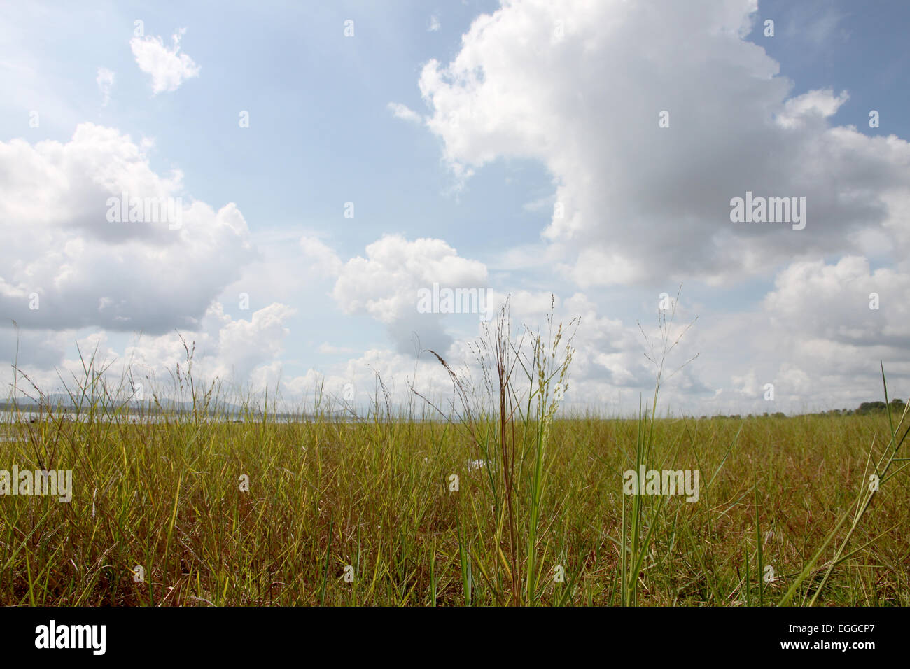 Prato e cielo blu sulla zona della diga. Foto Stock