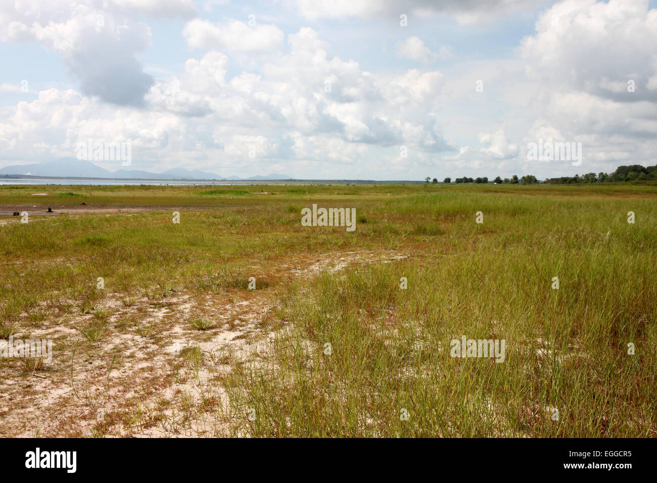 Prato e cielo blu sulla zona della diga. Foto Stock