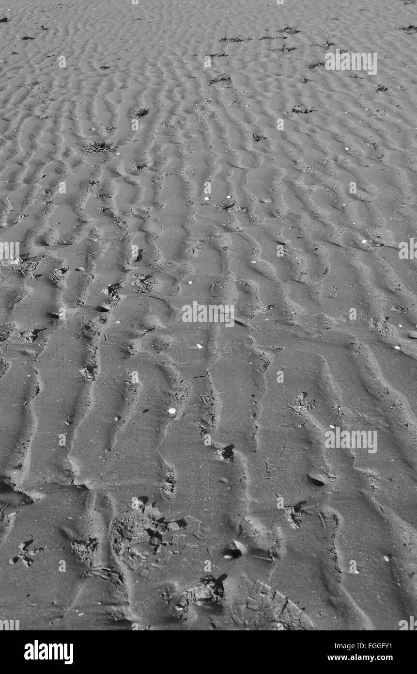 Motivi in bianco e nero in sabbia Foto Stock