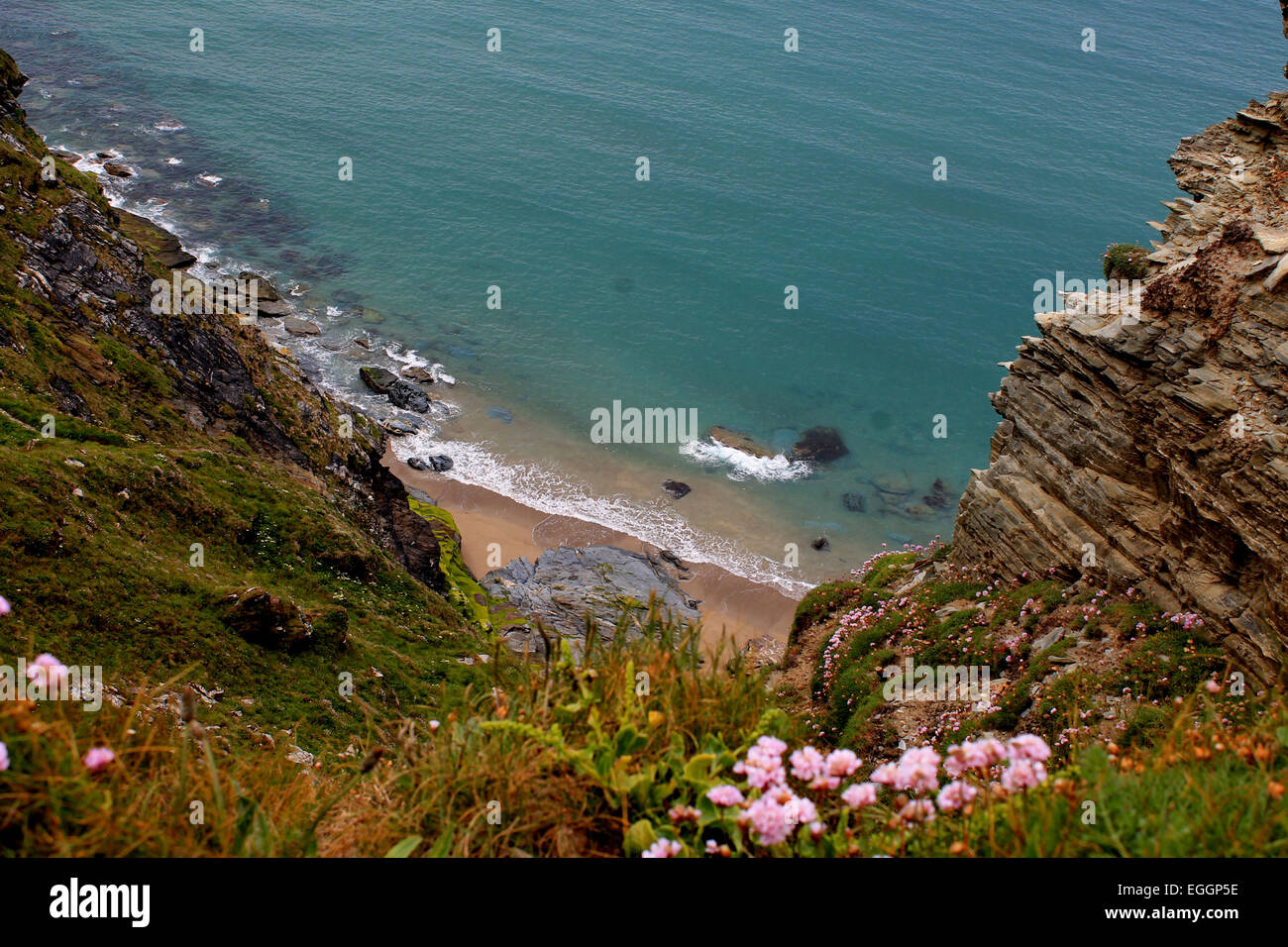 Vista della costa, costa, mare, mare vacanze estate, sole, sabbia, rocce, spiaggia, fiori, natura e paesaggio Foto Stock