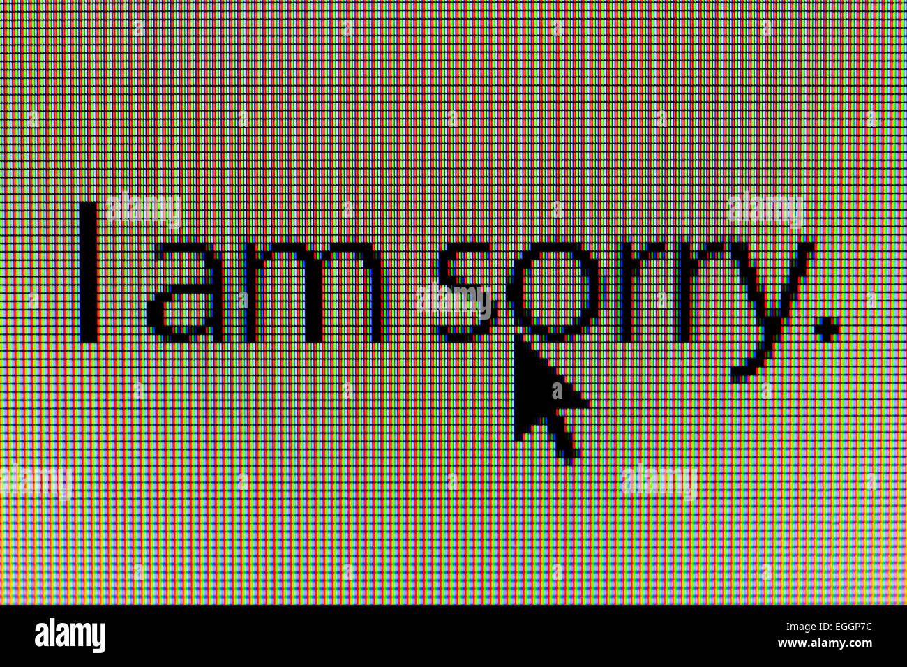 Primo piano della frase "mi dispiace" sul display a cristalli liquidi dello schermo del computer Foto Stock