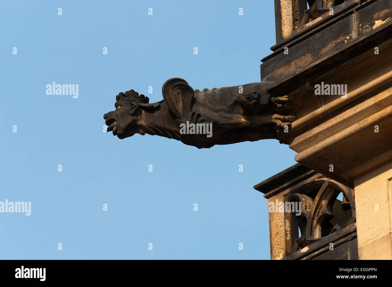 Gargoyle decorare l'esterno della Cattedrale di San Vito. Foto Stock