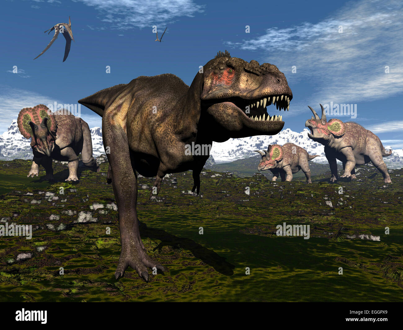 Tyrannosaurus rex attaccato da tre Triceratops. Foto Stock