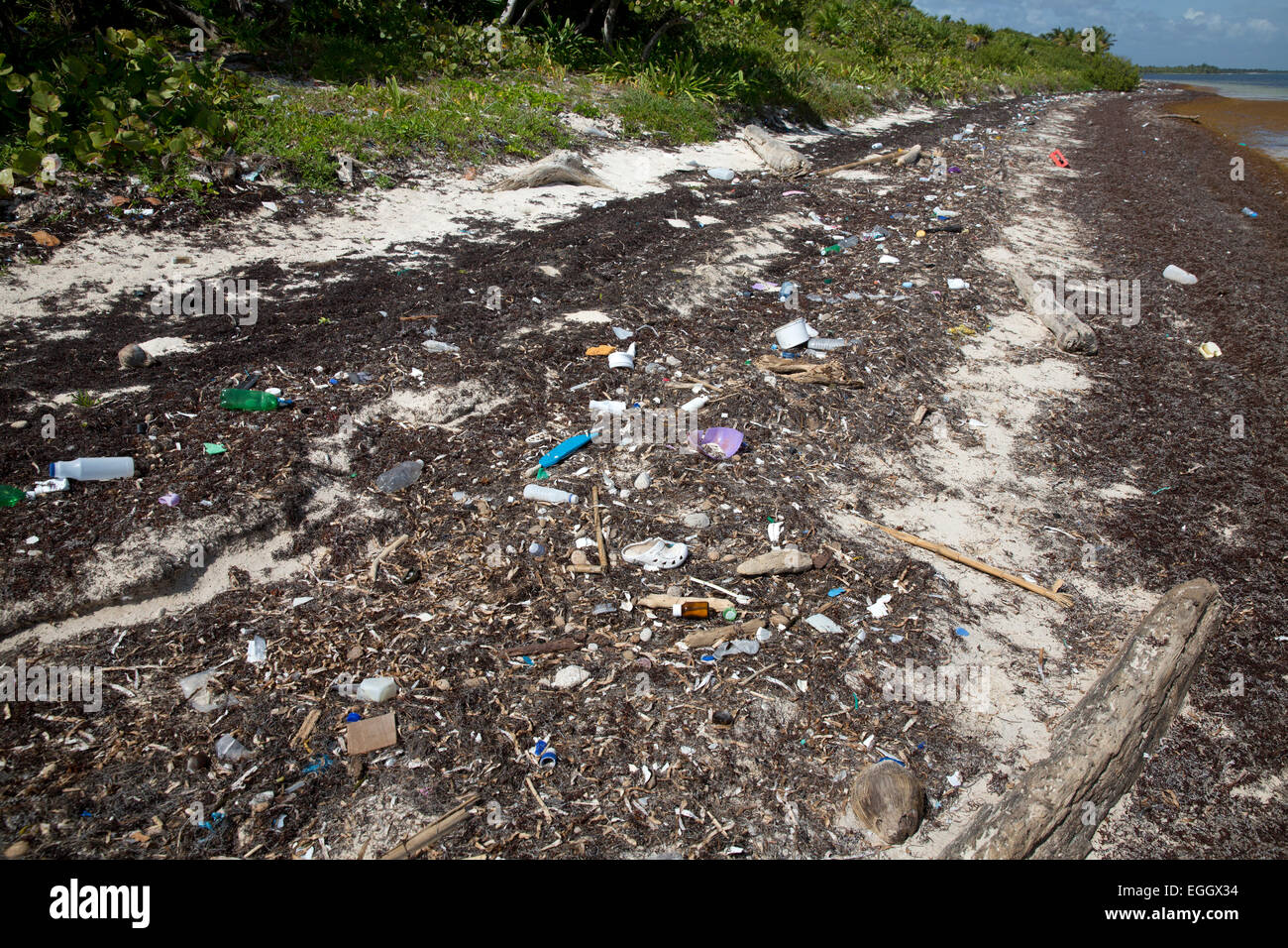 I detriti di plastica inquinamento sulla spiaggia vicino a Mahahual, Quintana Roo, Messico Foto Stock