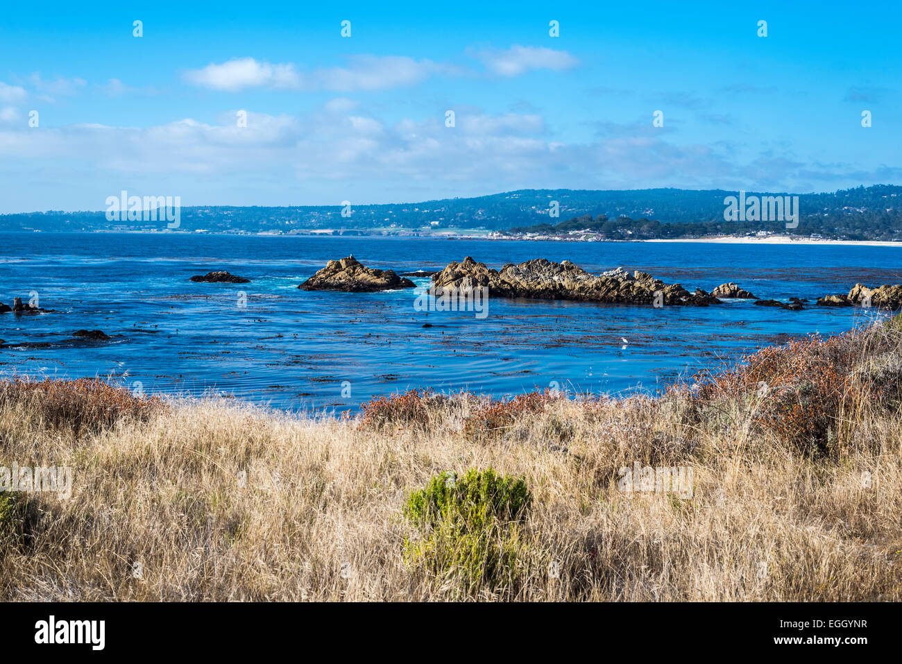 Vista mare e coste rocciose al punto Lobos Riserva Statale, Monterey County, California, Stati Uniti. Foto Stock