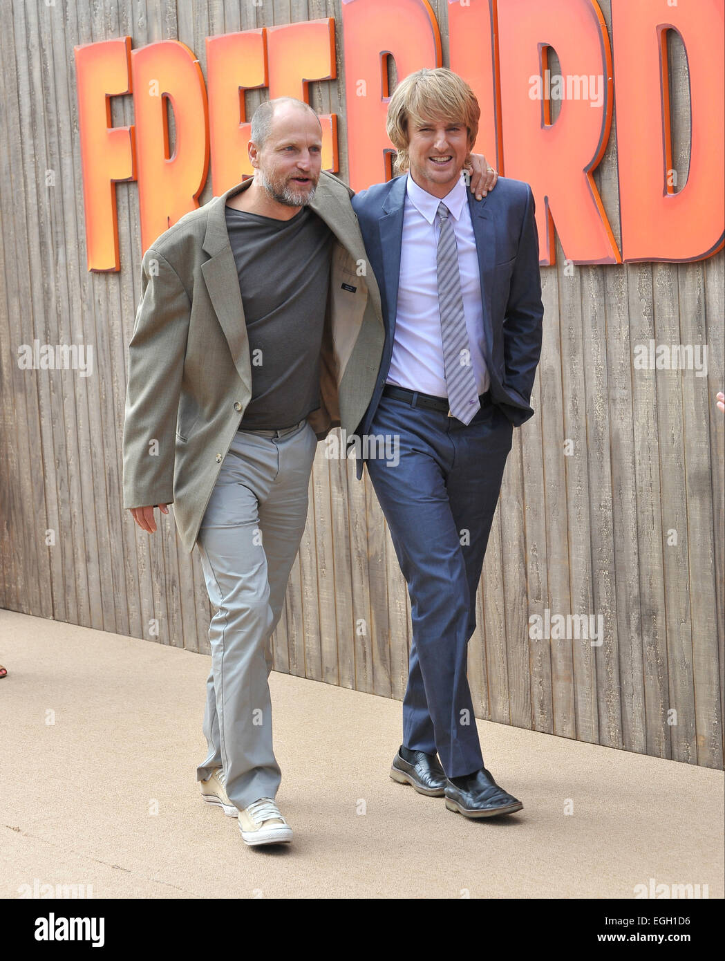 LOS ANGELES, CA - 13 ottobre 2013: Woody Harrelson & Owen Wilson (a destra) al mondo premiere del loro film "libera degli uccelli al Westwood Village Theatre. Foto Stock