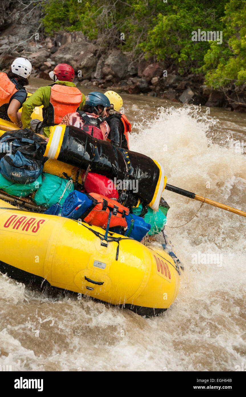 Raft galleggianti Warm Springs rapido, Yampa River, Dinosaur National Monument, Colorado. Foto Stock