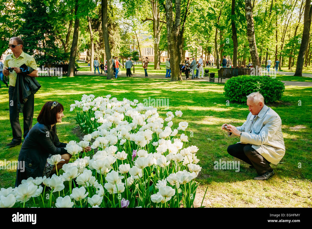GOMEL, Bielorussia - 9 Maggio 2014: le persone non identificate sono fotografati su uno sfondo di fiori di primavera nel parco della città. Foto Stock