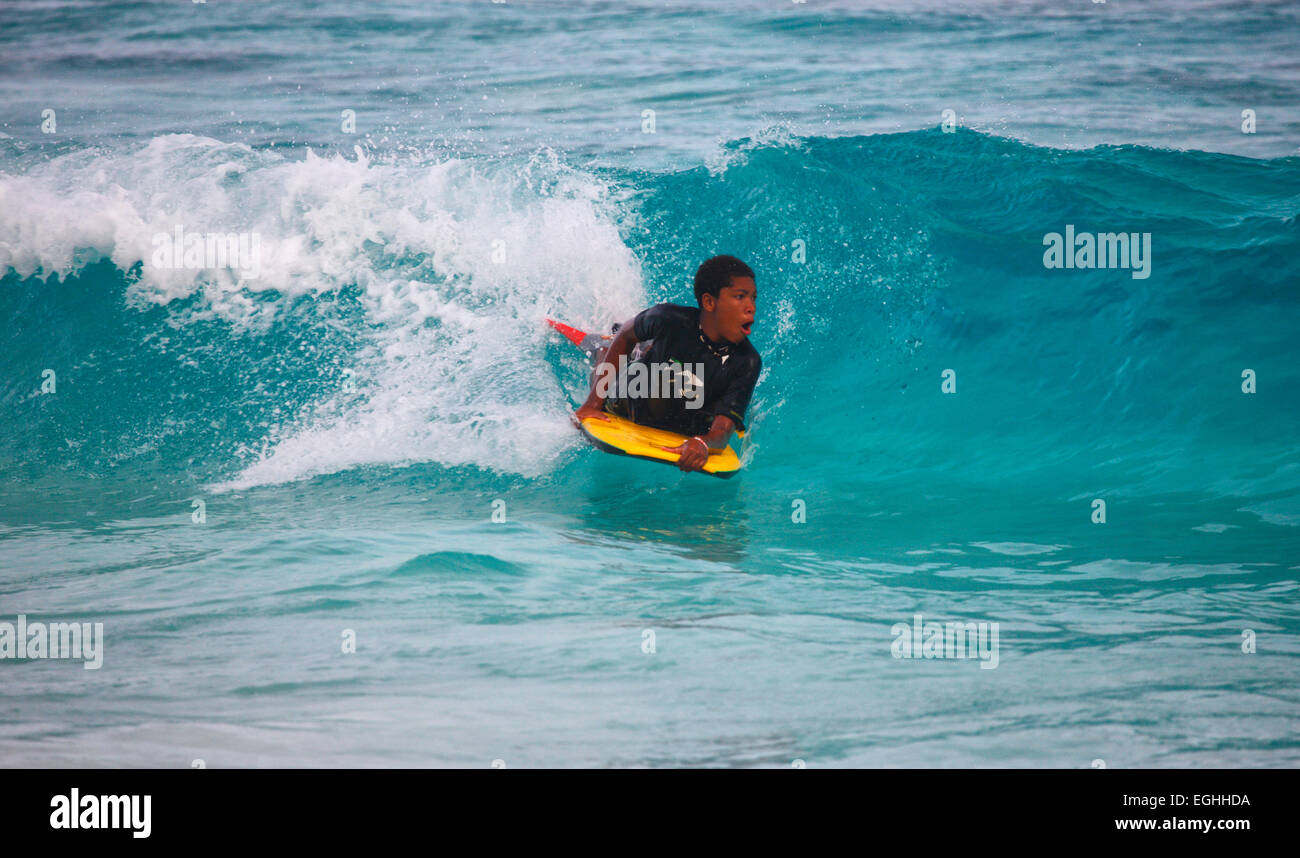Surf, Wave Surfer Foto Stock