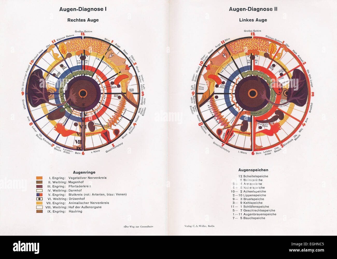 Iridology, medicina alternativa, c. 1930, Foto Stock