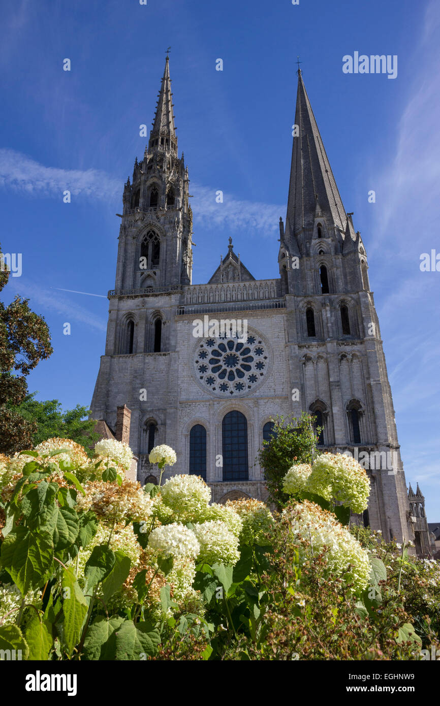 La cattedrale di Chartres West End, Chartres, Francia Foto Stock