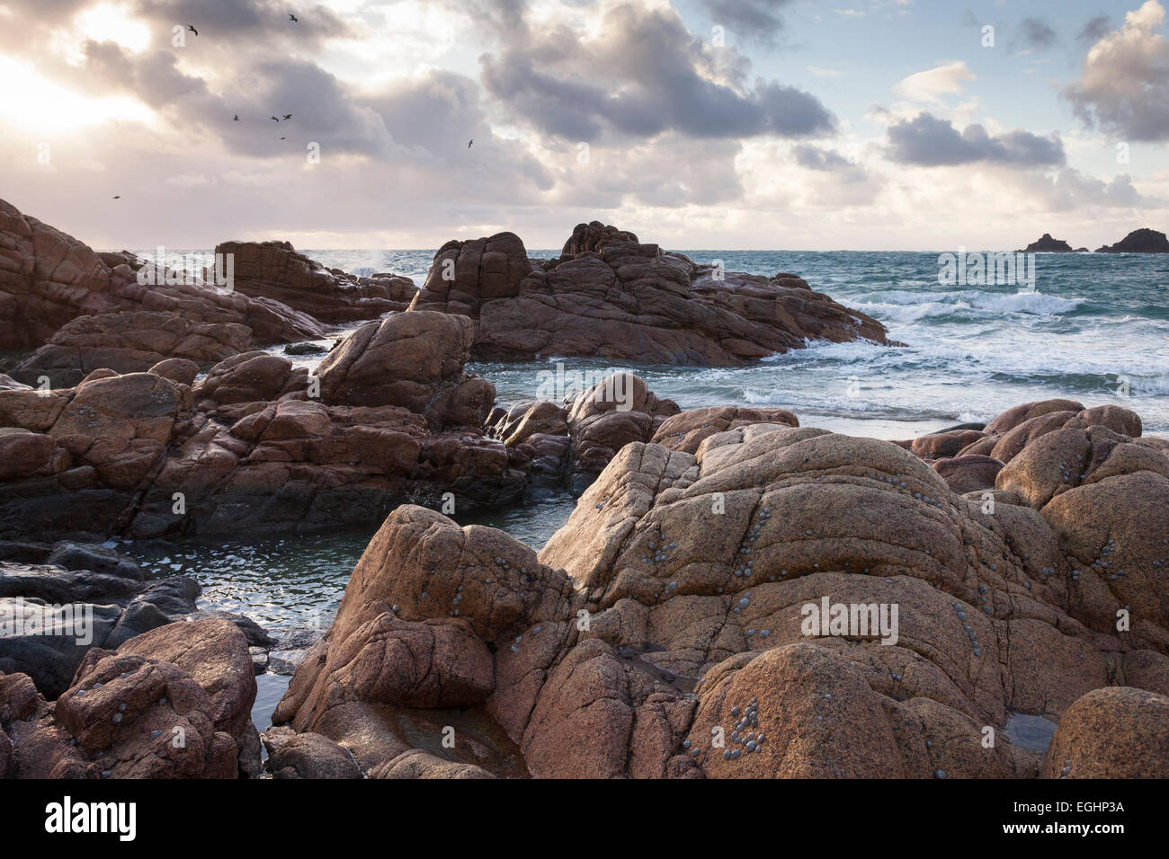 Costa rocciosa, 'Porth Nanven', Cornwall, England, Regno Unito Foto Stock