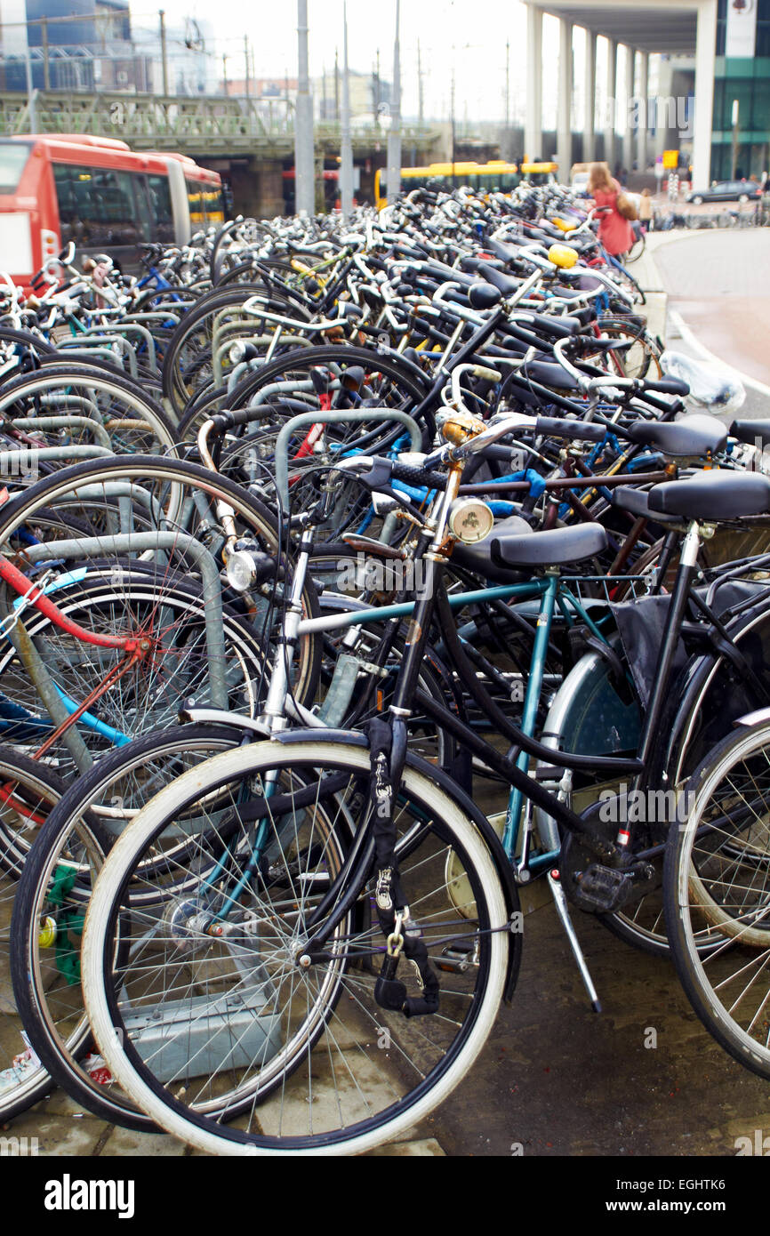 Holland, Amsterdam, biciclette parcheggio nei pressi della stazione centrale verticale Foto Stock