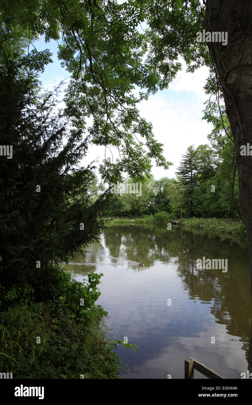 Lago di pesca in Lido Park in Droitwich, Worcestershire Foto Stock