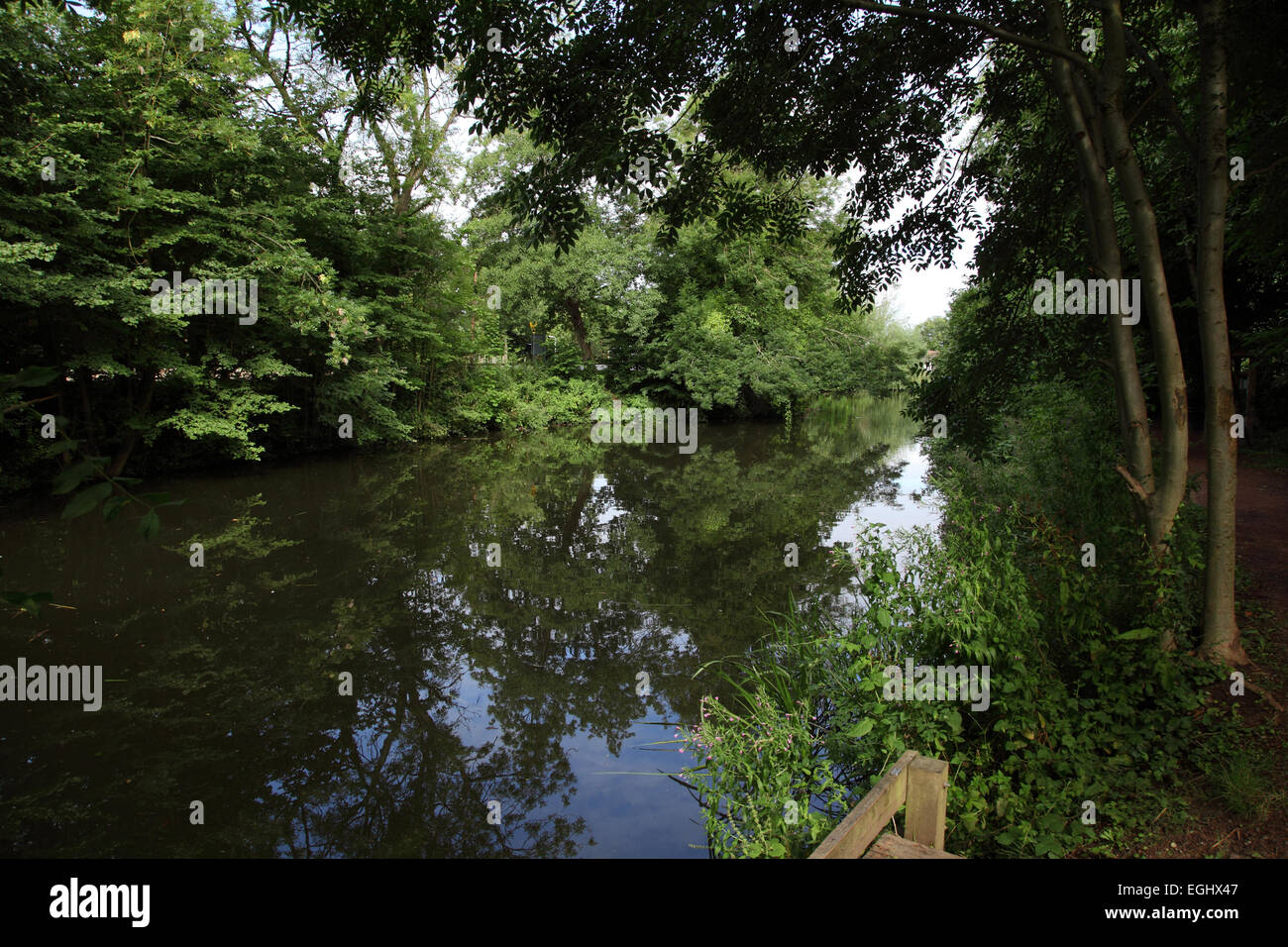 Lago di pesca in Lido Park in Droitwich, Worcestershire Foto Stock
