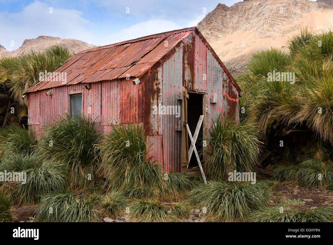 Georgia del Sud, Cumberland Bay, Jason Porto vecchio ferro corrugato hut usato come rifugio Foto Stock
