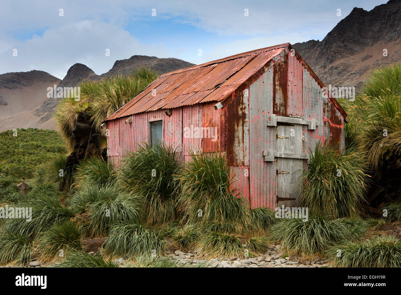 Georgia del Sud, Cumberland Bay, Jason Porto vecchio ferro corrugato hut usato come rifugio Foto Stock