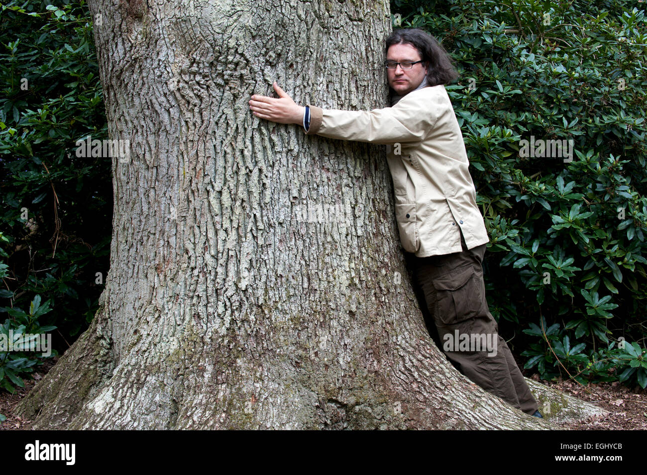 L'uomo abbracci grande albero Inghilterra Foto Stock