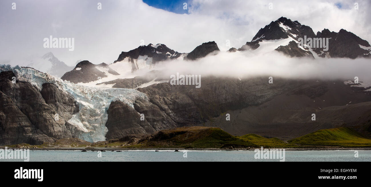 Georgia del Sud, oro Harbour, costiere montagne e ghiacciai in cloud, panoramica Foto Stock