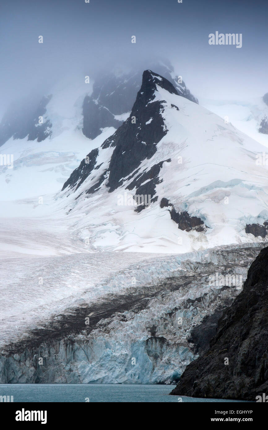 Georgia del Sud, Fiordo Drygalski, fronte del ghiacciaio Foto Stock