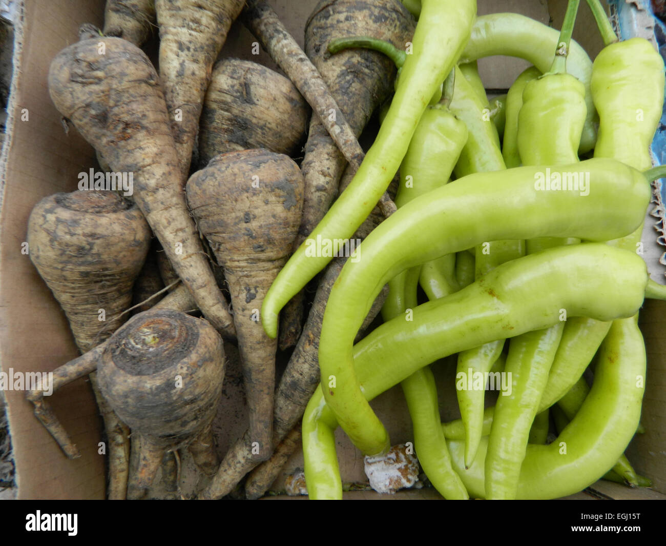 Offerta peperoncino verde e pastinaca al mercato locale. Foto Stock