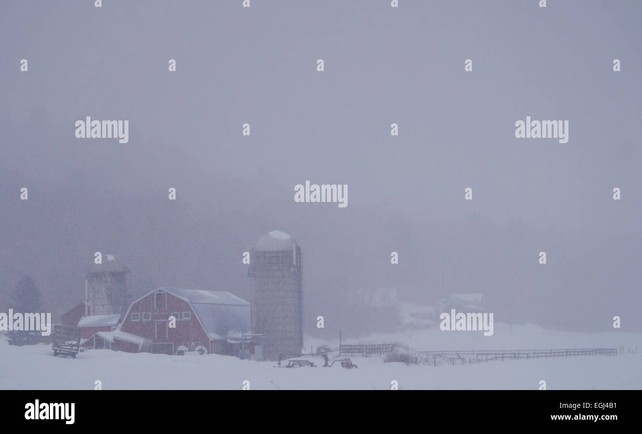 Dairy Farm in una tempesta di neve, West Arlington, Vermont, USA Foto Stock