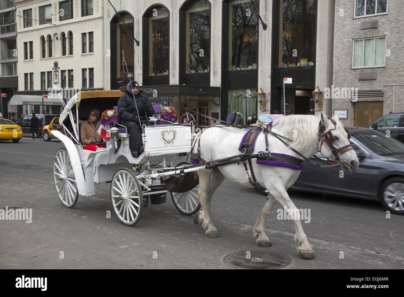 Giovane prendere un romantico giro in carrozza lungo la Central Park South il giorno di San Valentino nella città di New York. Foto Stock