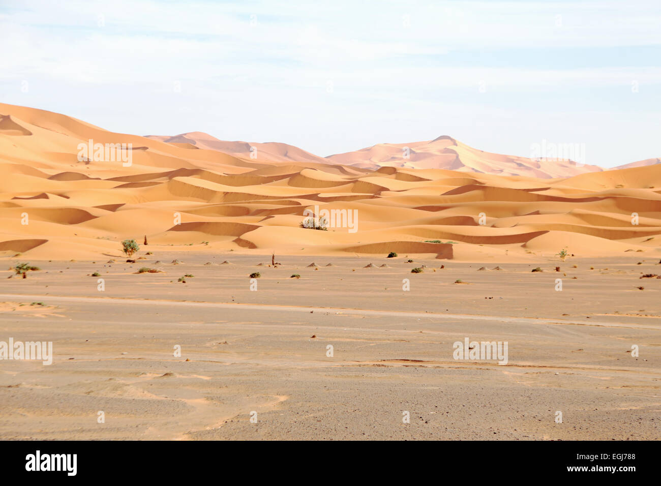 Erg Chebbi deserto in Marocco Foto Stock