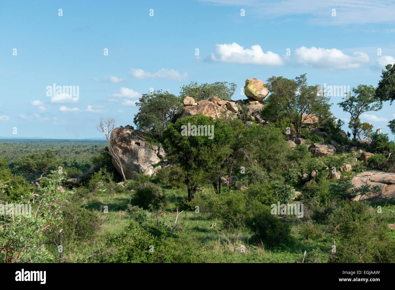 Koppies in granito e il paesaggio del sud del Parco Nazionale di Kruger, Sud Africa Foto Stock