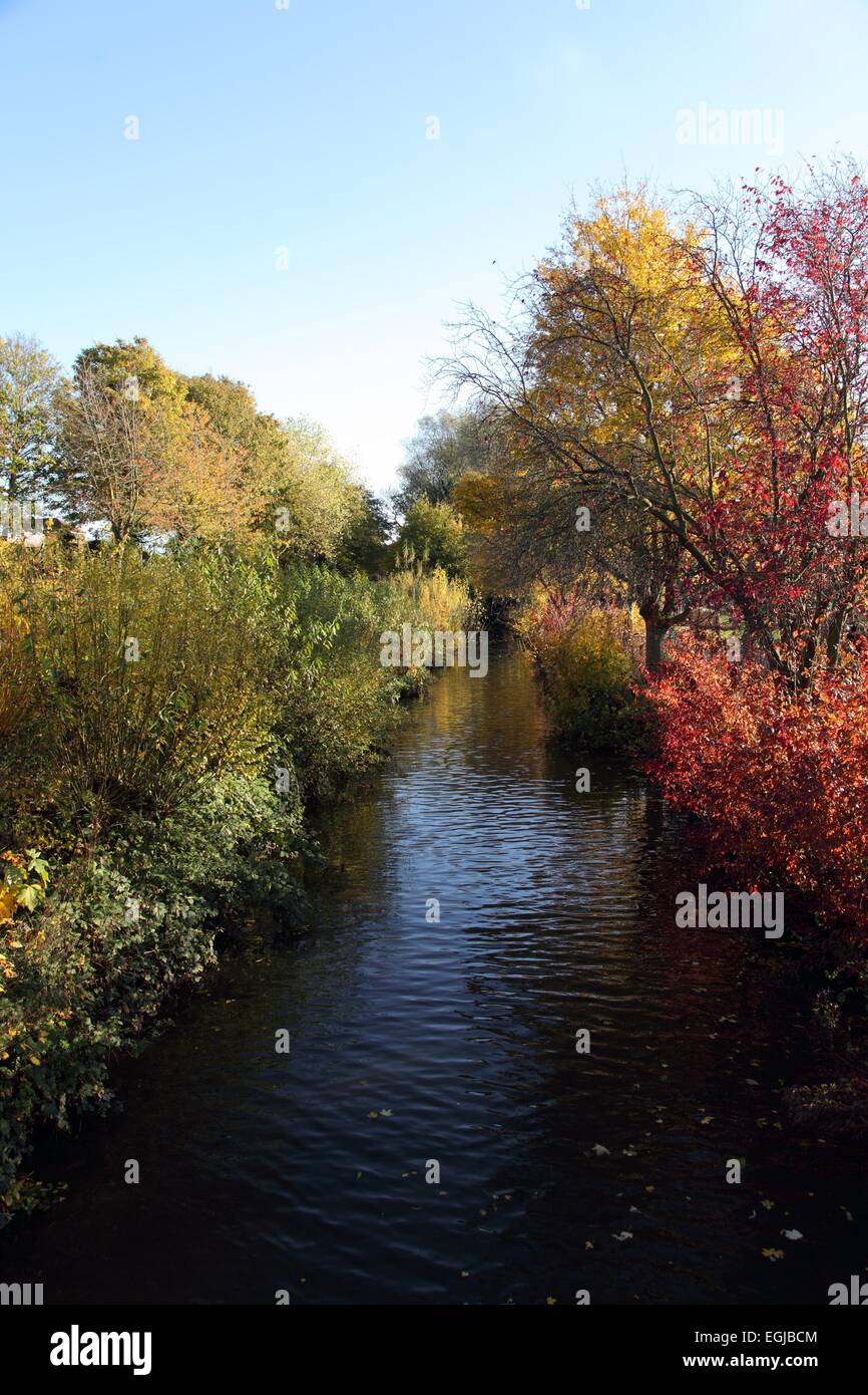 Il fiume Lark che corre attraverso il Abbey Gardens a Bury St Edmunds, Suffolk Foto Stock