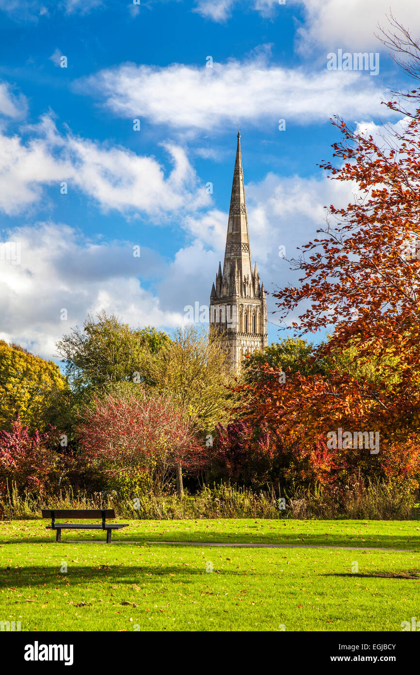 Un autunno vista del campanile della cattedrale medioevale di Salisbury nel Wiltshire. Foto Stock