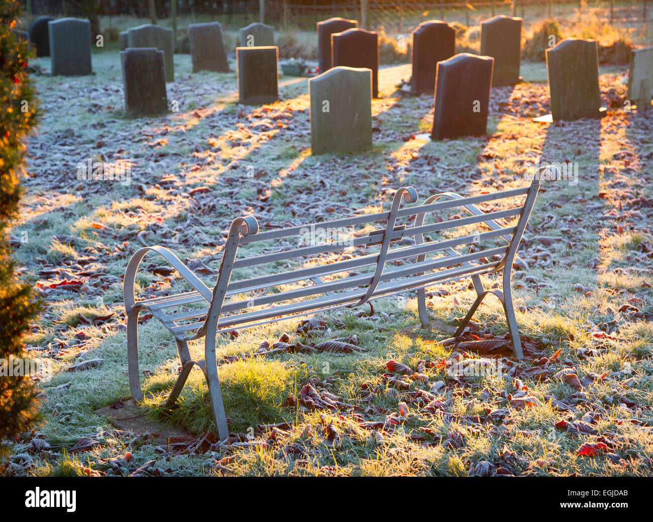 Coperto di brina sede metallica e lapidi in un cimitero del villaggio in Herefordshire, UK, all alba di un inverno congelate di mattina. Foto Stock