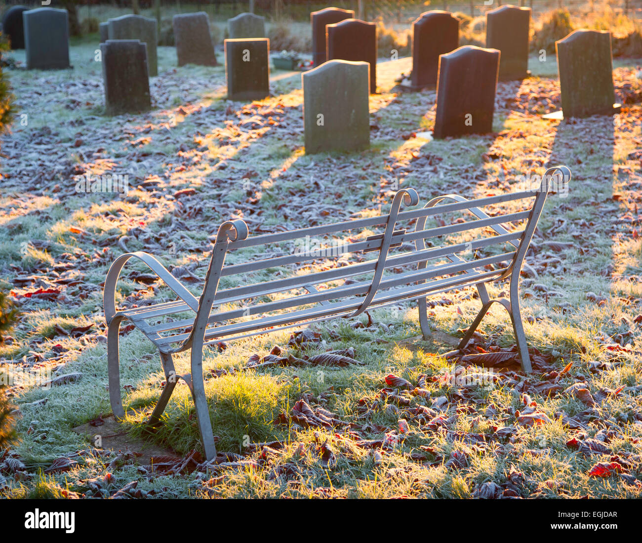 Coperto di brina sede metallica e lapidi in un cimitero del villaggio in Herefordshire, UK, all alba di un inverno congelate di mattina. Foto Stock