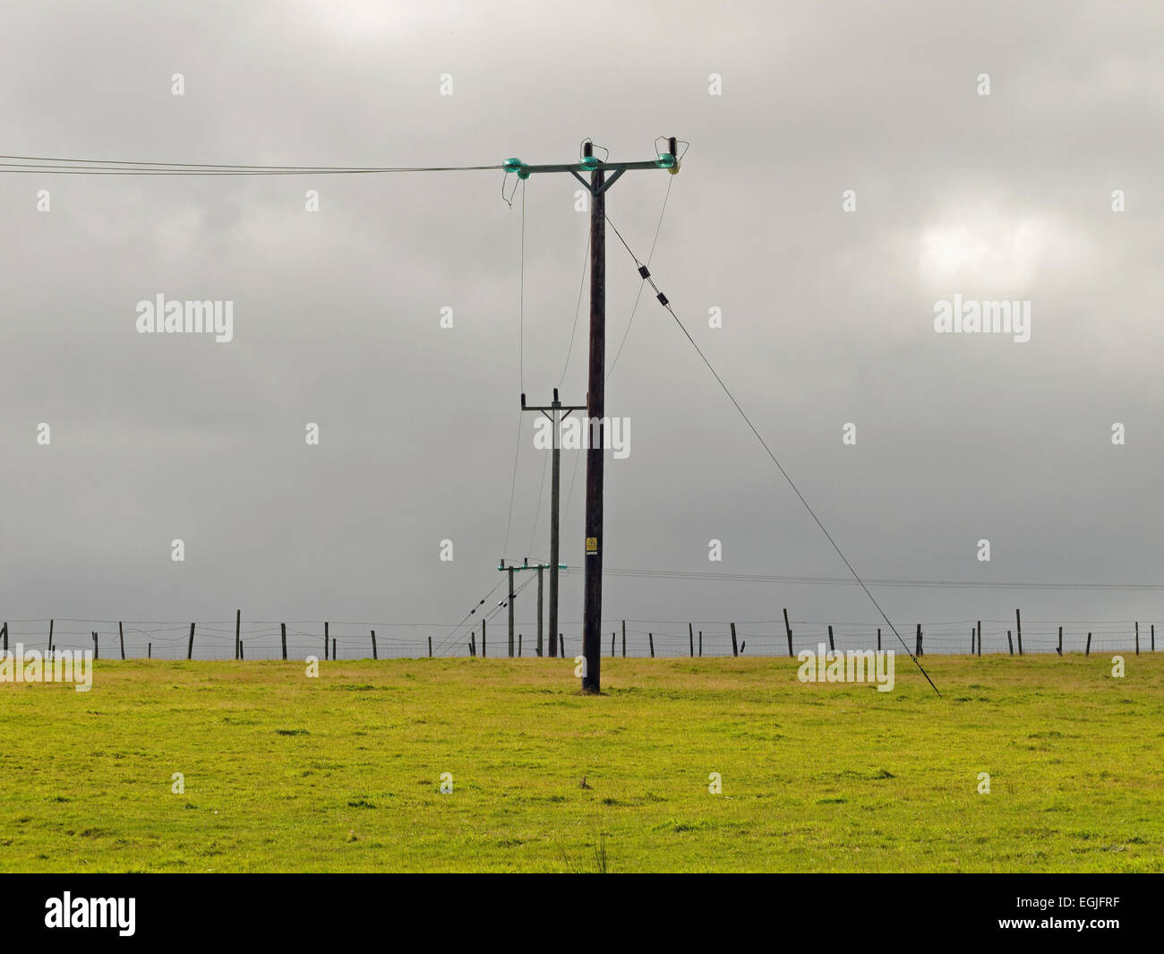 Stark linee elettriche su pali marzo all'infinito su vuoti i campi verdi Foto Stock