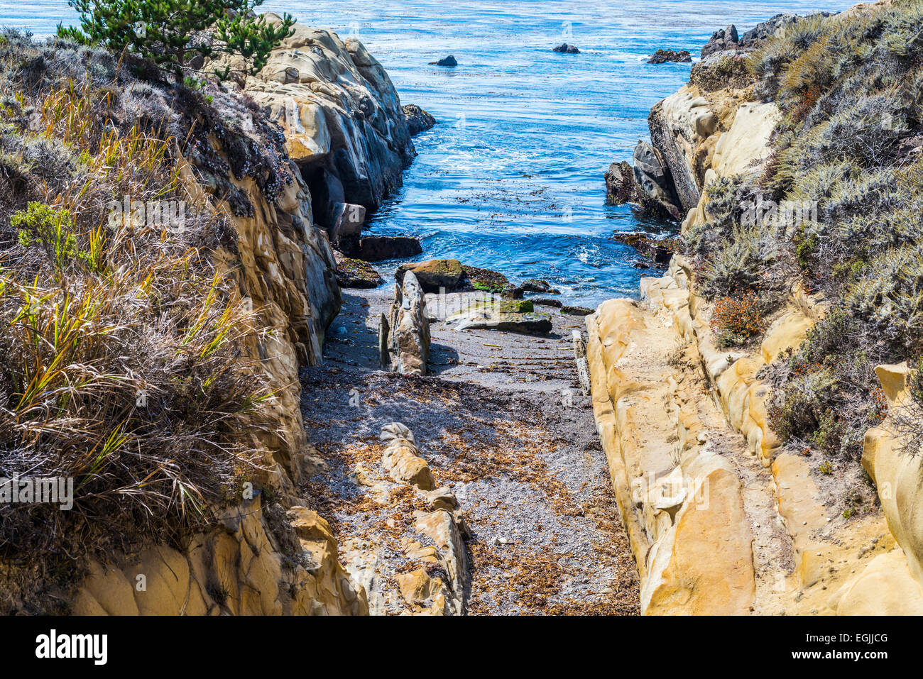 Point Lobos State Reserve. La contea di Monterey, California, Stati Uniti. Foto Stock