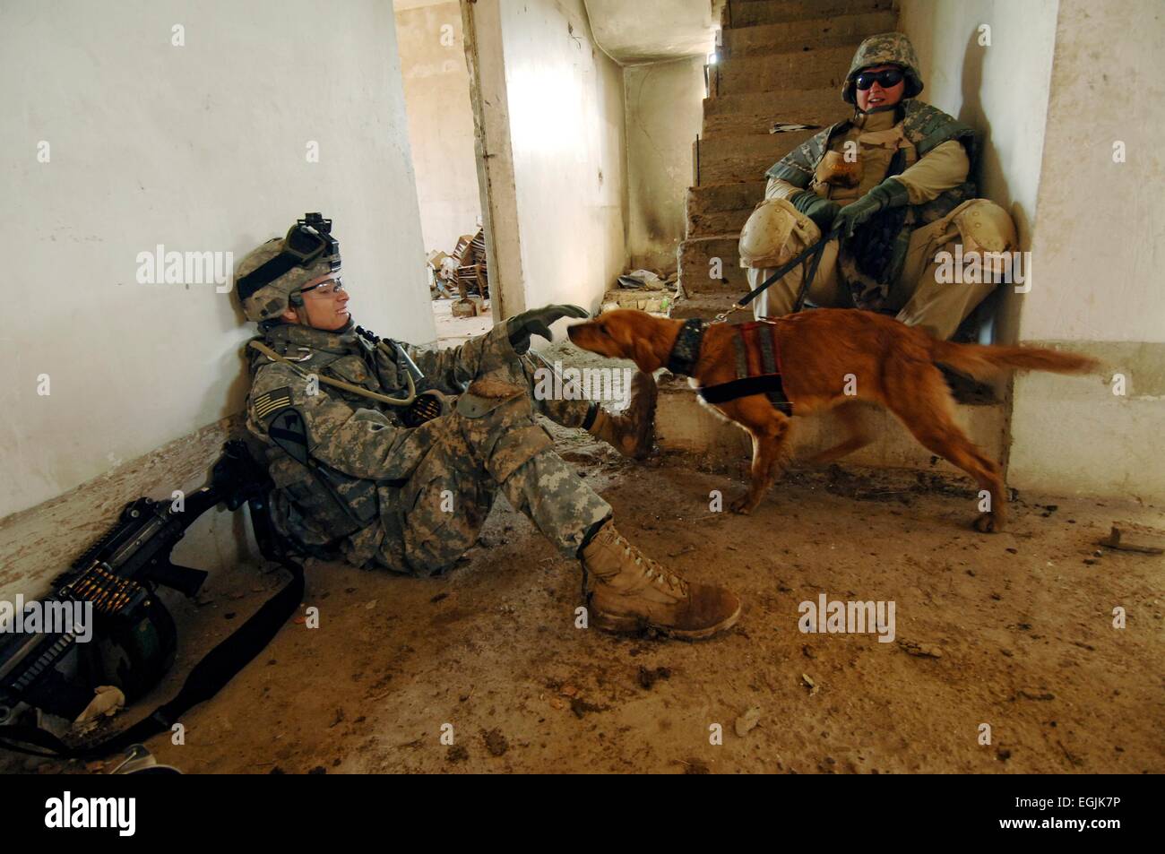 I soldati USA dal 1° Divisione di cavalleria giocare con Recon, un cadavere di cane di rilevamento, come lei e il suo gestore di attendere il loro turno per cercare i resti di un soldato mancante Febbraio 23, 2007 a Baghdad, Iraq. Foto Stock