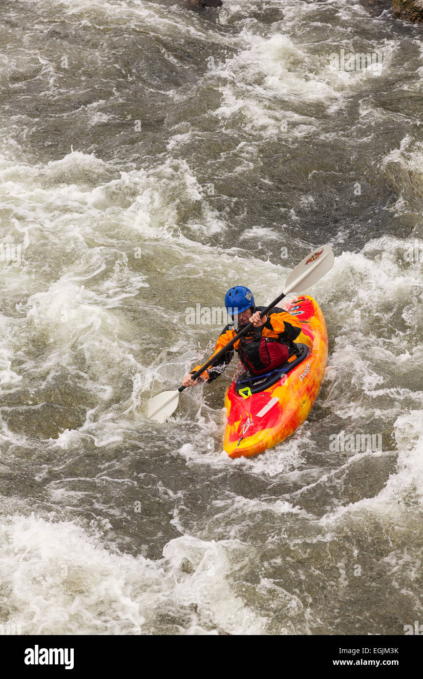 Whitewater Kayaker navigazione rapids durante la classe kayak sul fiume Arkansas in Colorado durante la primavera. Foto Stock