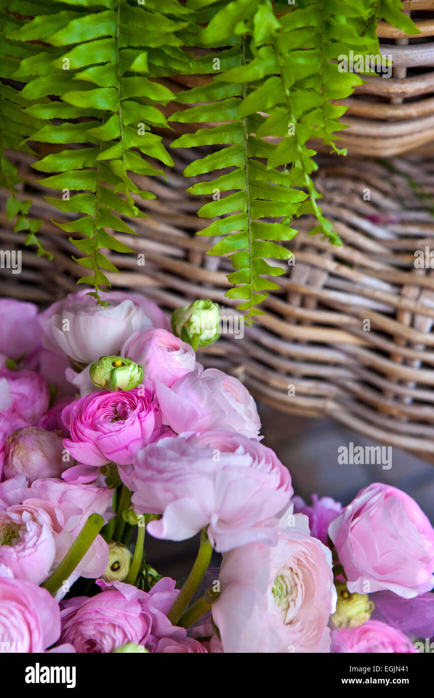 Mazzo di peonie e il fogliame di un fioraio Foto Stock