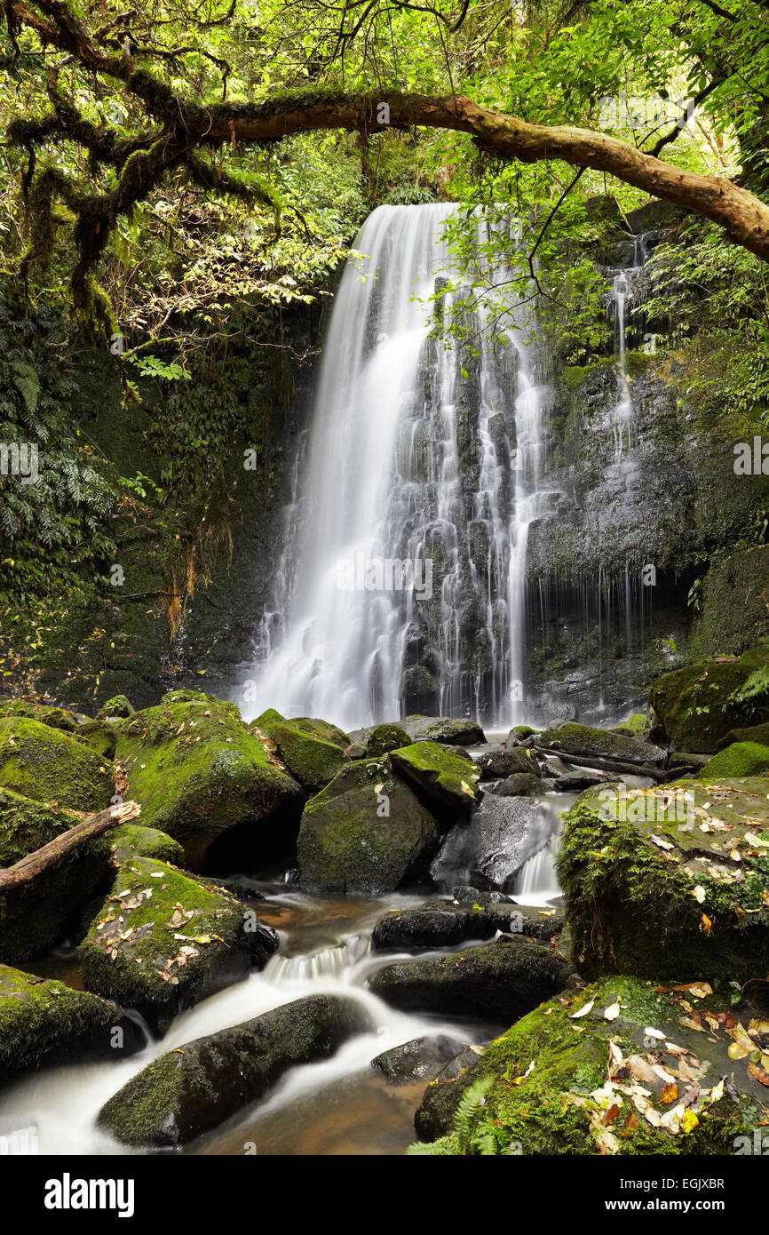 Matai Falls, Isola del Sud, Nuova Zelanda Foto Stock